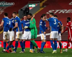 Nhận định soi kèo Brighton vs Liverpool, 02h00 ngày 20.05-1
