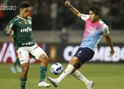 Nhận định soi kèo Cerro Porteno vs Palmeiras, 07h30 ngày 08.05-1