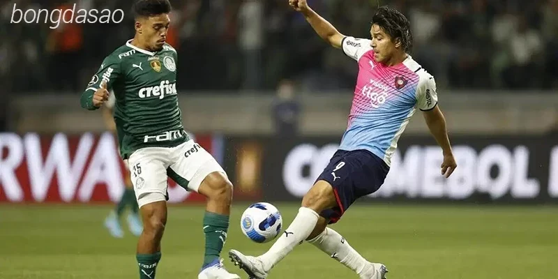 Nhận định soi kèo Cerro Porteno vs Palmeiras, 07h30 ngày 08.05-1