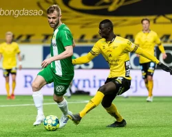 Nhận định soi kèo Elfsborg vs Hammarby, 20h00 ngày 31_05 1