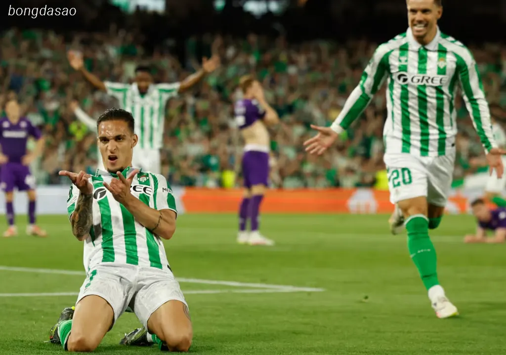Kết quả bóng đá ngày 02/05: Real Betis vs Fiorentina