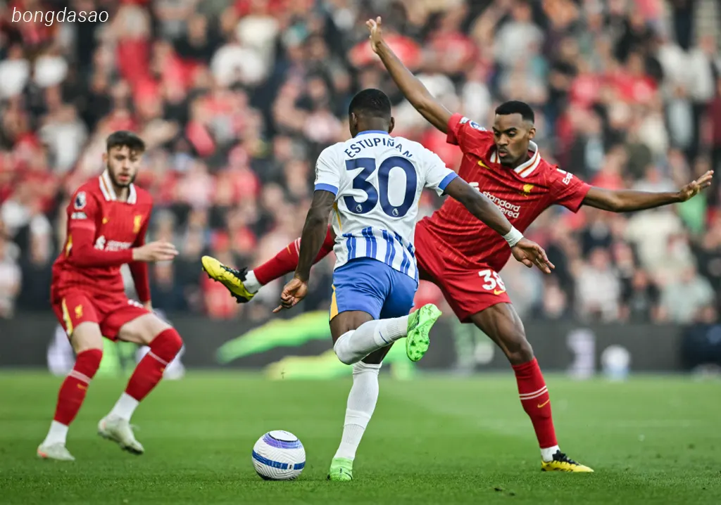Kết quả bóng đá ngày 20/05: Brighton vs LFC Liverpool