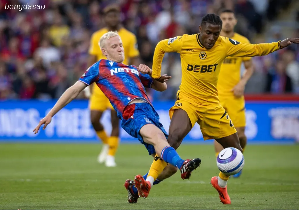Kết quả bóng đá ngày 21/05: Crystal Palace vs Wolves