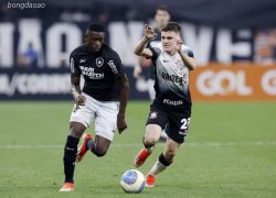 Soi kèo xiên ngày 07/05 Carabobo vs Botafogo, Copa Libertadores