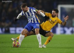 Nhận định kèo xiên 10/05 Wolves vs Brighton, Premier League