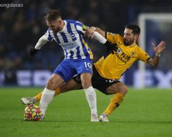 Nhận định kèo xiên 10/05 Wolves vs Brighton, Premier League