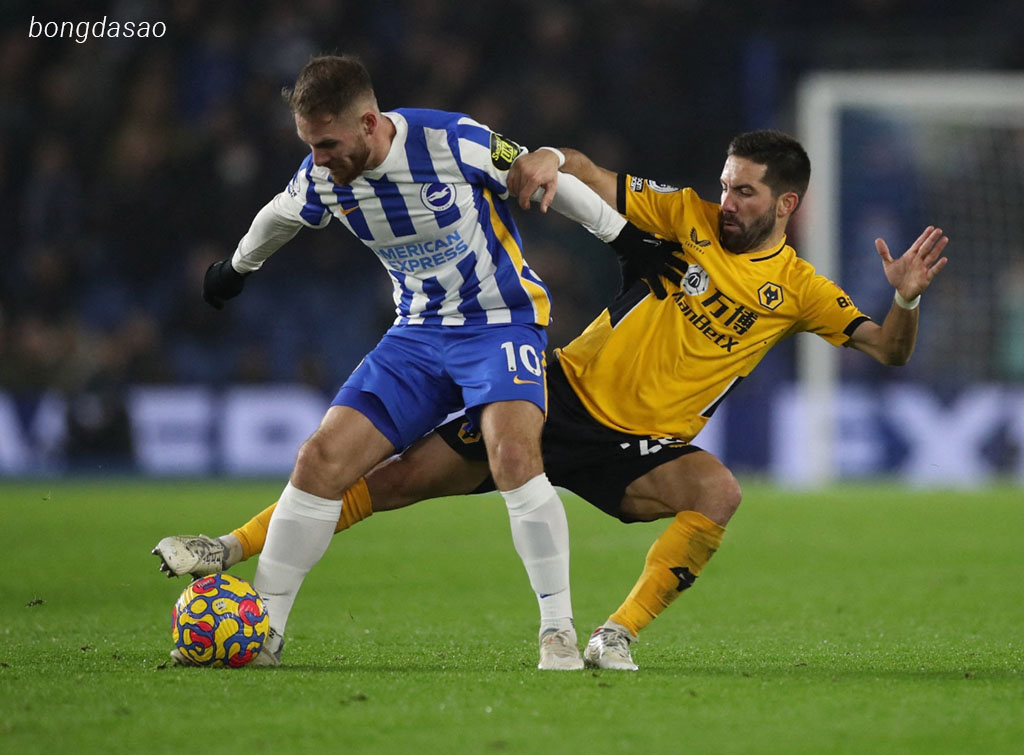 Nhận định kèo xiên 10/05 Wolves vs Brighton, Premier League