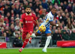 Soi kèo xiên ngày 20/05 Brighton vs LFC Liverpool, Premier League