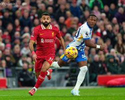 Soi kèo xiên ngày 20/05 Brighton vs LFC Liverpool, Premier League