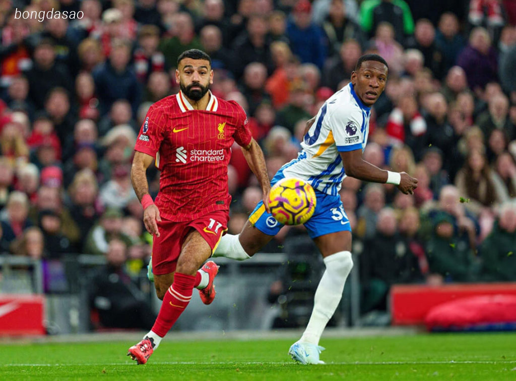 Soi kèo xiên ngày 20/05 Brighton vs LFC Liverpool, Premier League