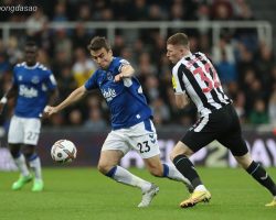 Soi kèo xiên ngày 25/05 Newcaste vs Everton, Premier League