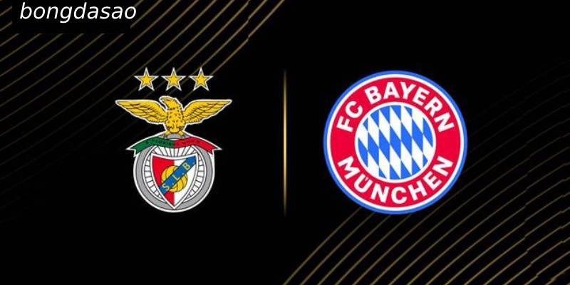 Soi kèo Benfica vs Bayern Munich, 02h00 ngày 25/06