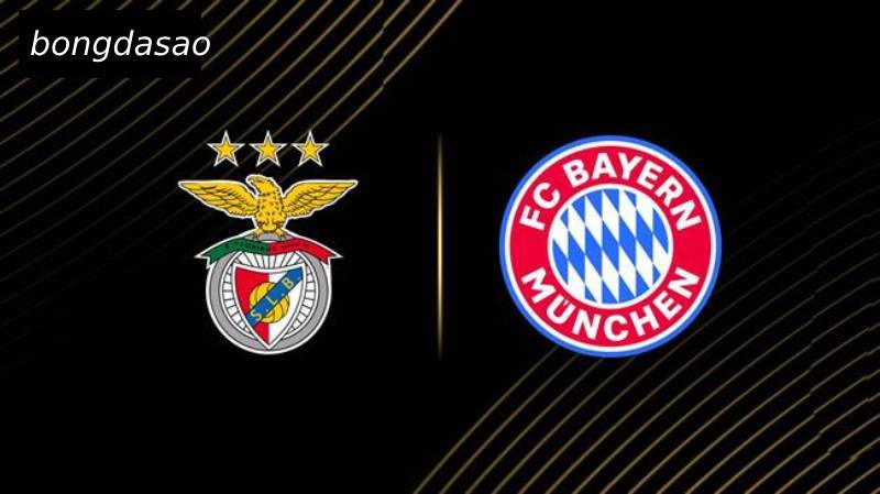 Soi kèo Benfica vs Bayern Munich, 02h00 ngày 25/06