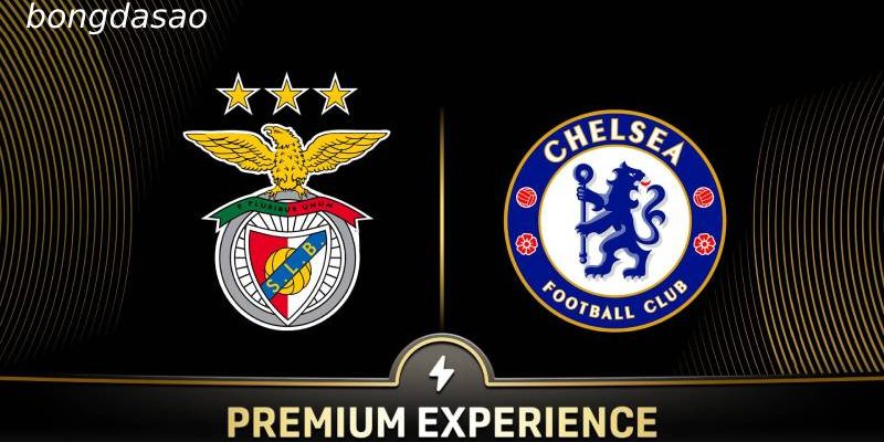 Soi kèo Benfica vs Chelsea, 03h00 ngày 29/06