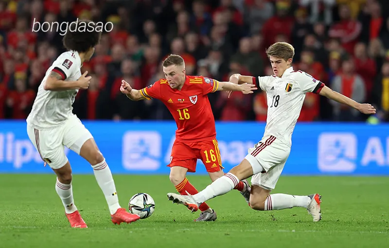 Nhận định soi kèo Bỉ vs Wales, 01h45 ngày 10_06 1