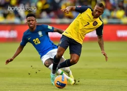 Nhận định soi kèo Ecuador vs Brazil, 06h00 ngày 06_06 1