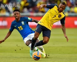Nhận định soi kèo Ecuador vs Brazil, 06h00 ngày 06_06 1
