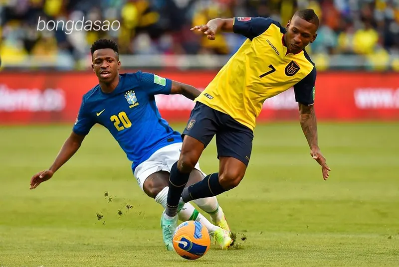 Nhận định soi kèo Ecuador vs Brazil, 06h00 ngày 06_06 1