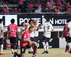 Nhận định soi kèo FC Tokyo vs Cerezo Osaka, 17h00 ngày 14_06 1