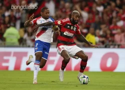 Nhận định soi kèo Flamengo vs Fortaleza, 04h30 ngày 02_06 1