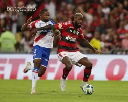 Nhận định soi kèo Flamengo vs Fortaleza, 04h30 ngày 02_06 1