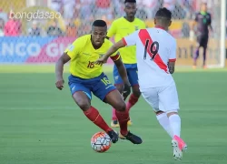 Nhận định soi kèo Vitoria vs Cruzeiro, 05h00 ngày 13_06 1