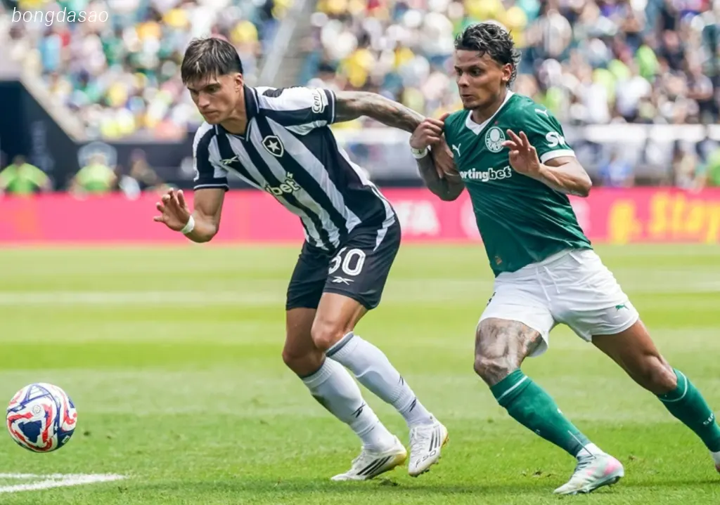 Kết quả bóng đá ngày 28/06: Palmeiras vs Botafogo