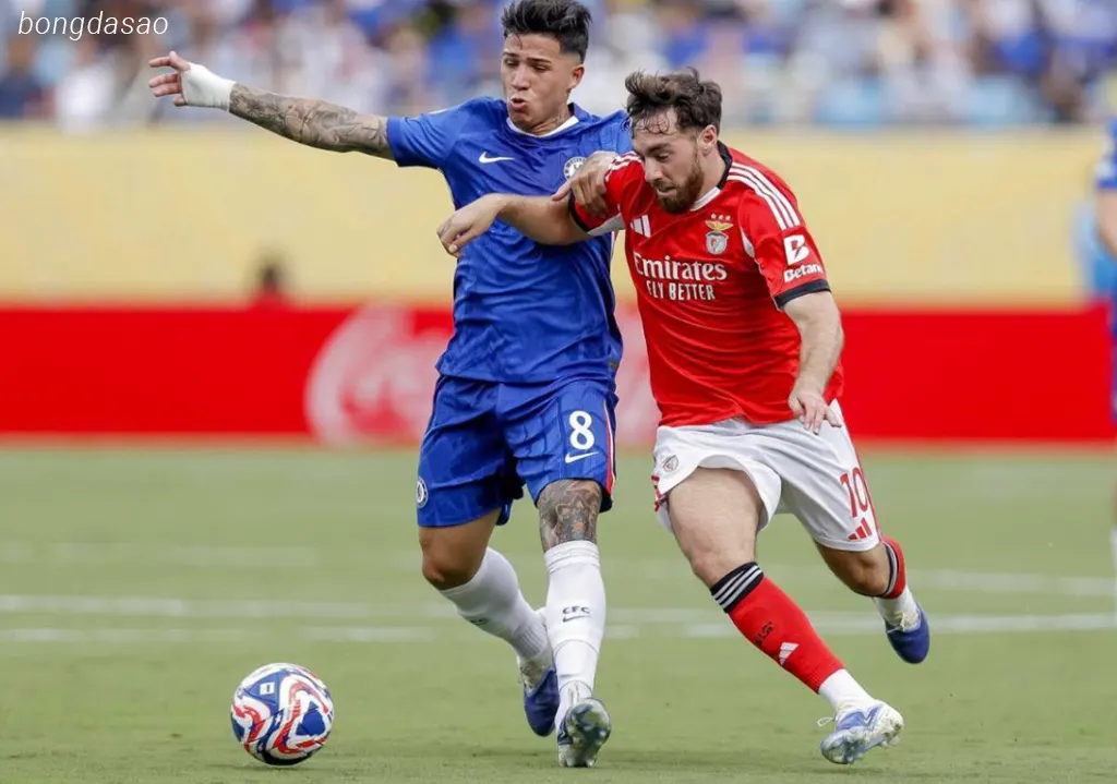 Kết quả bóng đá ngày 29/06: Chelsea vs Benfica