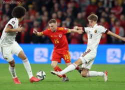 Soi kèo xiên ngày 10/06 Bỉ vs Wales, vòng loại World Cup