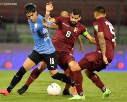 Nhận định kèo xiên 11/06 Uruguay vs Venezuela, vòng loại World Cup