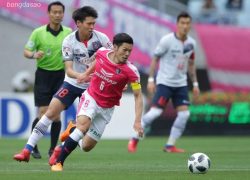 Nhận định kèo xiên 14/06 Tokyo vs Cerezo Osaka, J-League