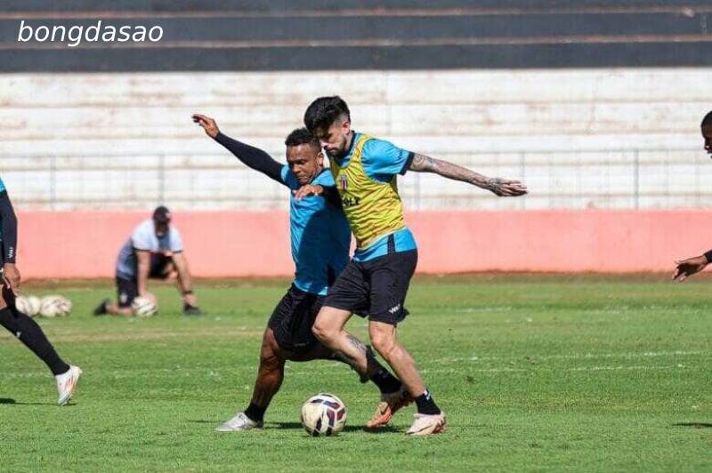 Soi kèo Botafogo SP vs Volta Redonda RJ , 07h30 ngày 15/07