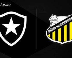 Soi kèo Botafogo vs Novorizontino, 04h30 ngày 07/07