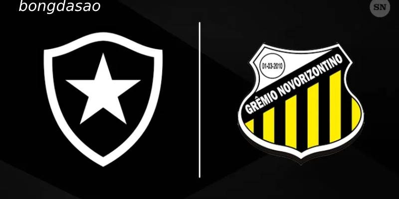 Soi kèo Botafogo vs Novorizontino, 04h30 ngày 07/07