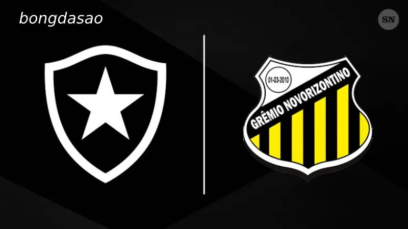 Soi kèo Botafogo vs Novorizontino, 04h30 ngày 07/07