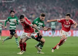 Nhận định kèo xiên 01/08 Sporting Lisbon vs Benfica, Siêu Cúp Bồ Đào Nha