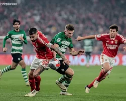 Nhận định kèo xiên 01/08 Sporting Lisbon vs Benfica, Siêu Cúp Bồ Đào Nha