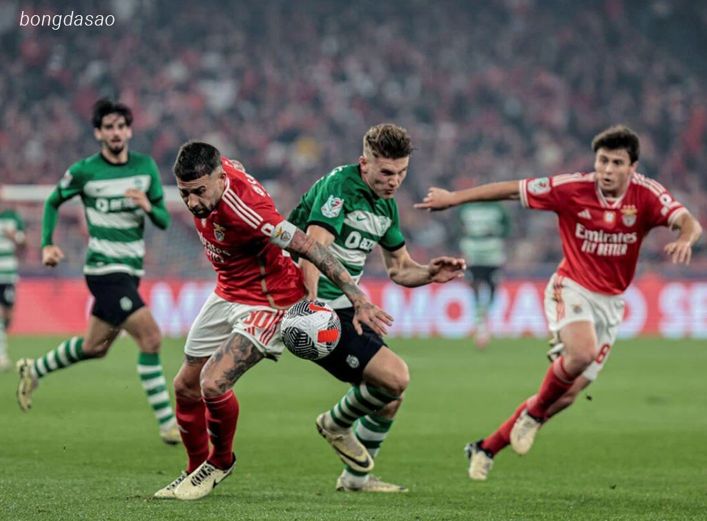 Nhận định kèo xiên 01/08 Sporting Lisbon vs Benfica, Siêu Cúp Bồ Đào Nha