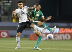 Nhận định kèo xiên ngày 21/07 Palmeiras vs Atletico Mineiro, VĐQG Brazil