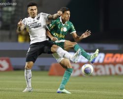 Nhận định kèo xiên ngày 21/07 Palmeiras vs Atletico Mineiro, VĐQG Brazil