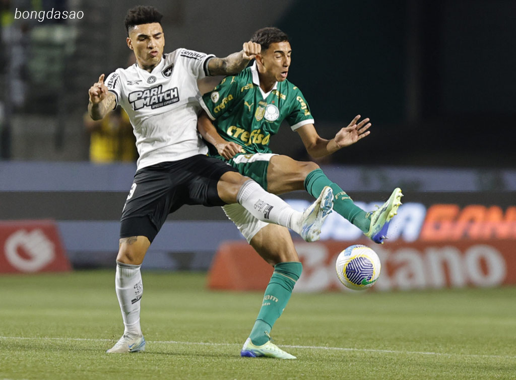 Nhận định kèo xiên ngày 21/07 Palmeiras vs Atletico Mineiro, VĐQG Brazil