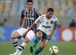 Nhận định kèo xiên ngày 24/07 Fluminense vs Palmeiras, VĐQG Brazil