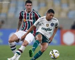 Nhận định kèo xiên ngày 24/07 Fluminense vs Palmeiras, VĐQG Brazil