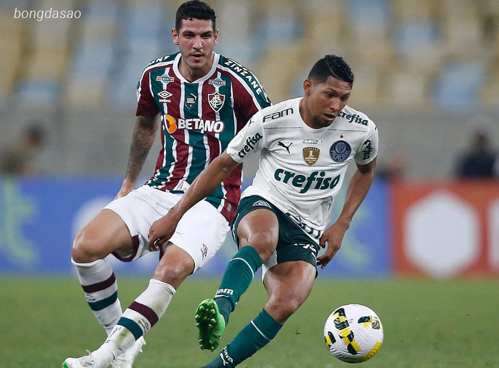 Nhận định kèo xiên ngày 24/07 Fluminense vs Palmeiras, VĐQG Brazil