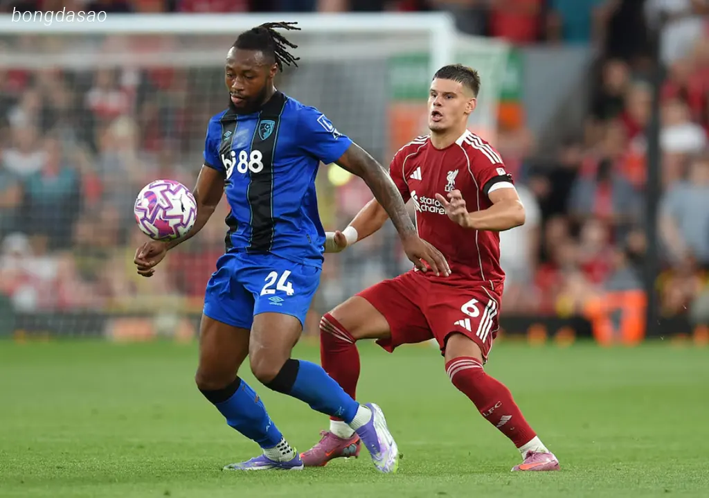 Kết quả bóng đá ngày 16/08: LFC Liverpool vs Bournemouth