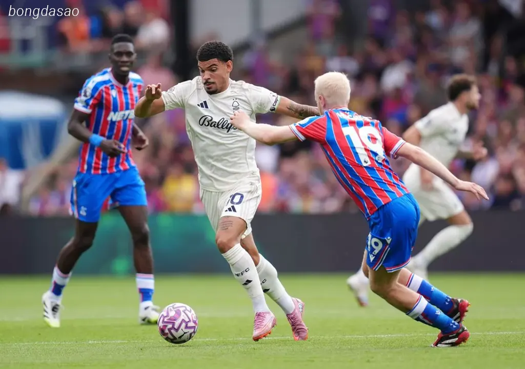 Kết quả bóng đá ngày 24/08: Crystal Palace vs Nottingham Forest