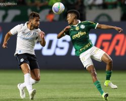 Nhận định kèo xiên ngày 04/08 Vitoria vs Palmeiras, VĐQG Brazil