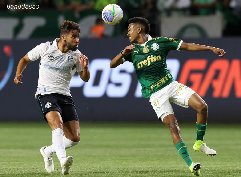 Nhận định kèo xiên ngày 04/08 Vitoria vs Palmeiras, VĐQG Brazil