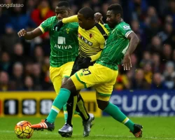Nhận định kèo xiên ngày 13/08 Watford vs Norwich City, Carabao Cup