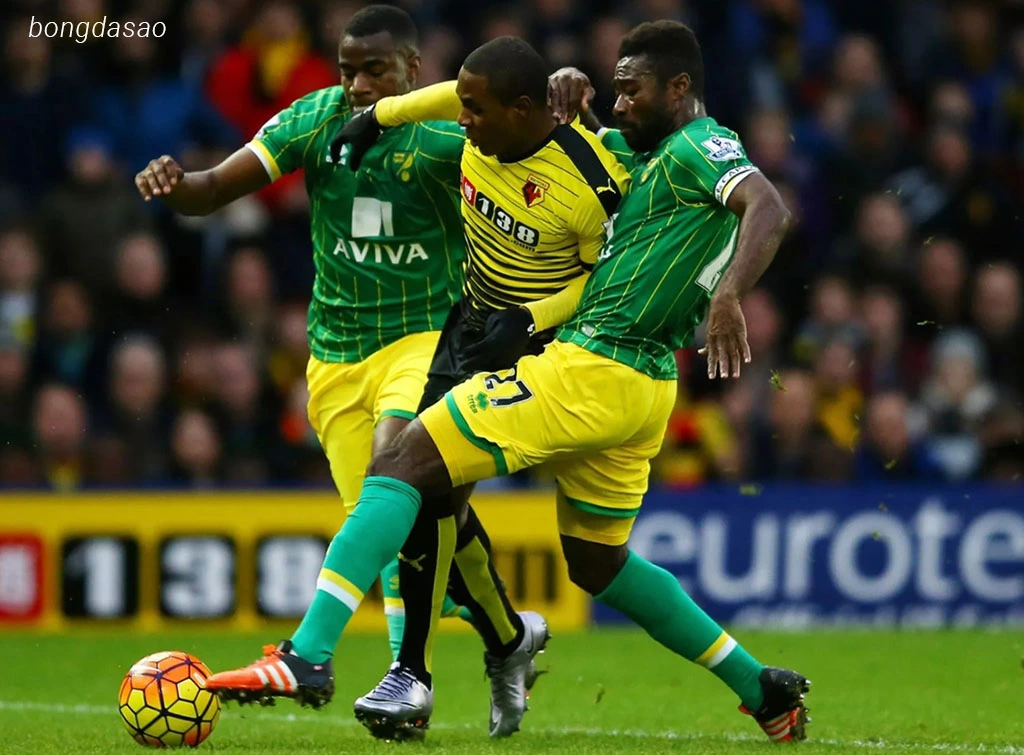 Nhận định kèo xiên ngày 13/08 Watford vs Norwich City, Carabao Cup